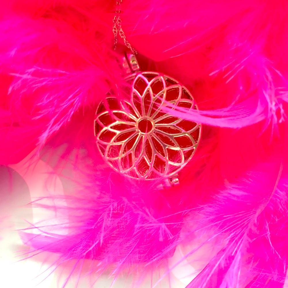Necklace and locket